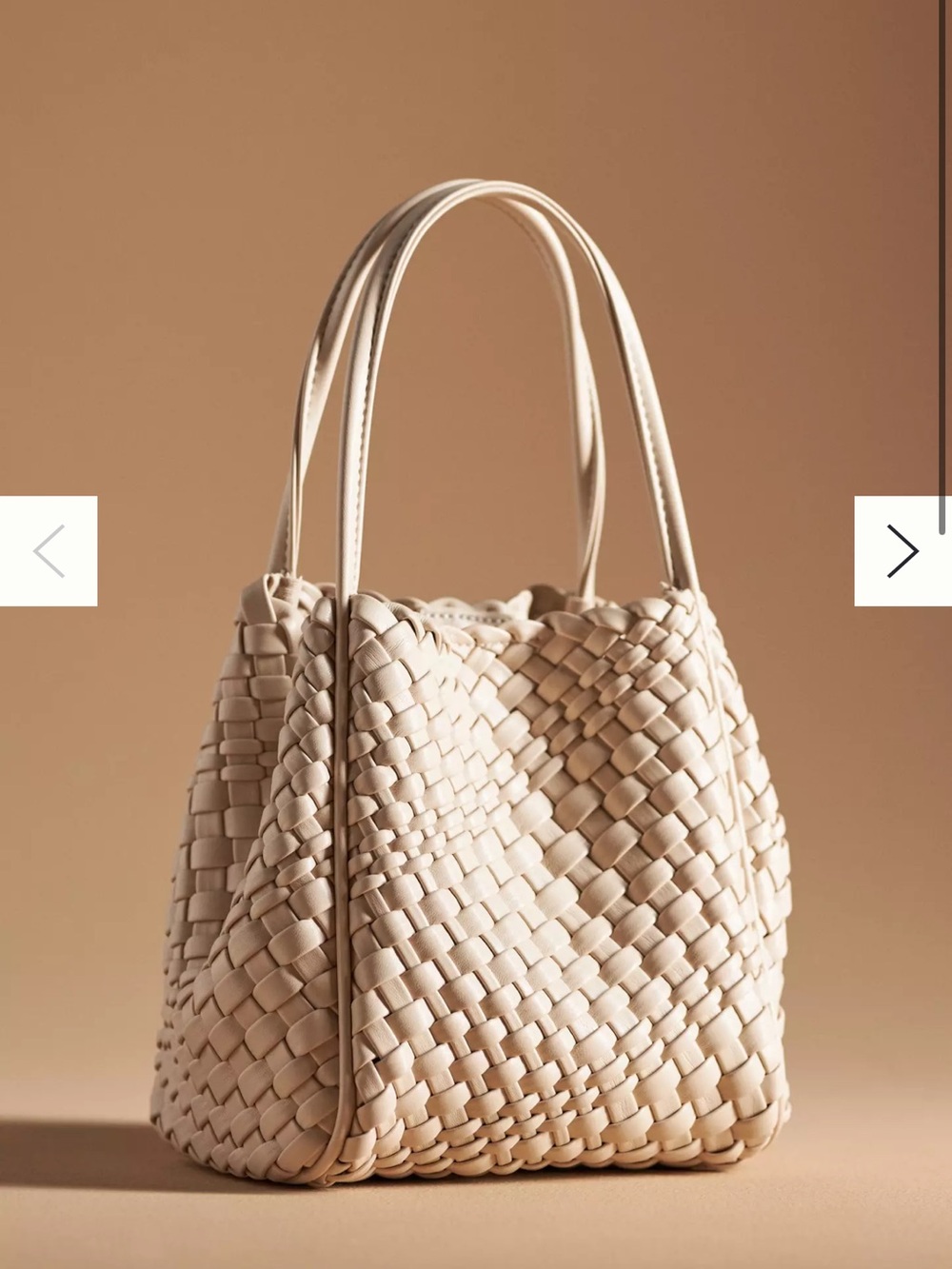 NWT Hollace Tote: Woven Mini Edition